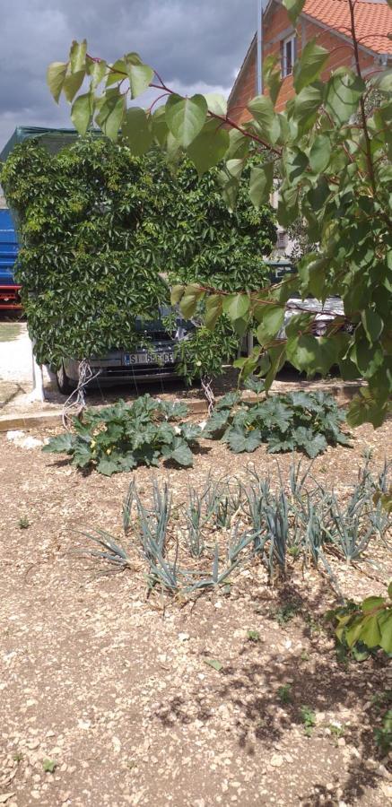 Apartments Mira Jadrtovac Dış mekan fotoğraf