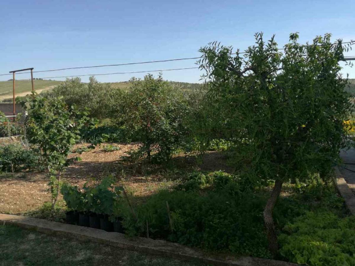 Apartments Mira Jadrtovac Dış mekan fotoğraf