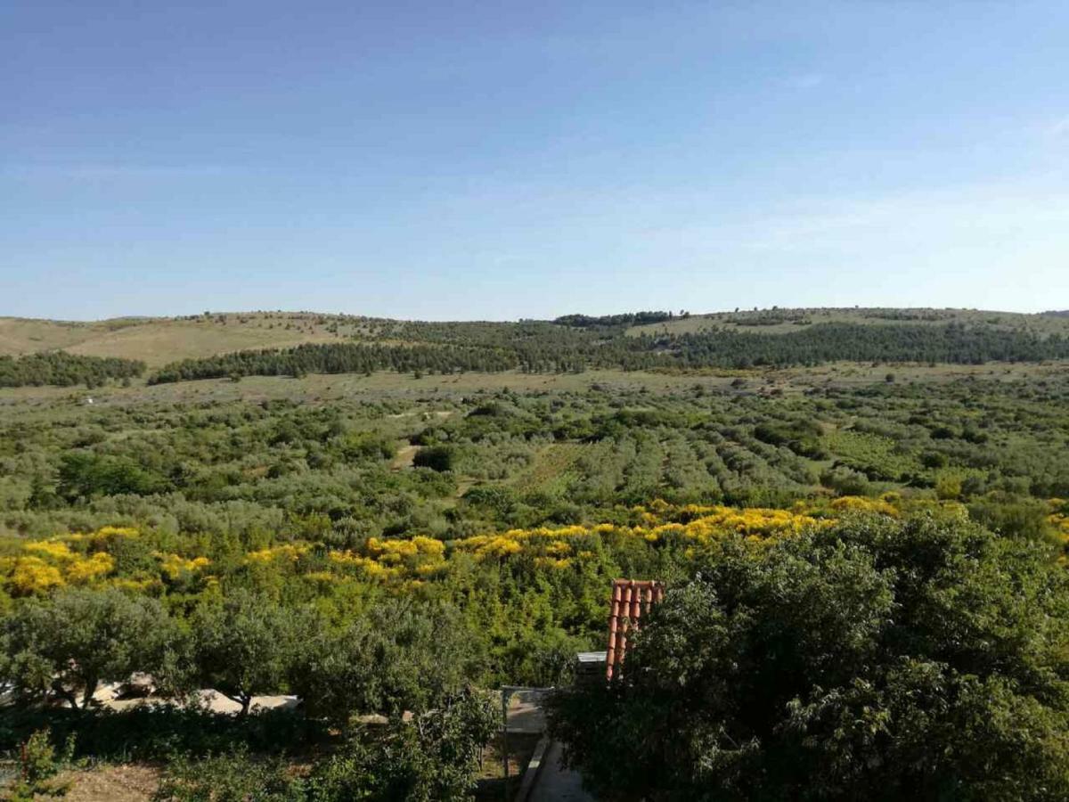 Apartments Mira Jadrtovac Dış mekan fotoğraf