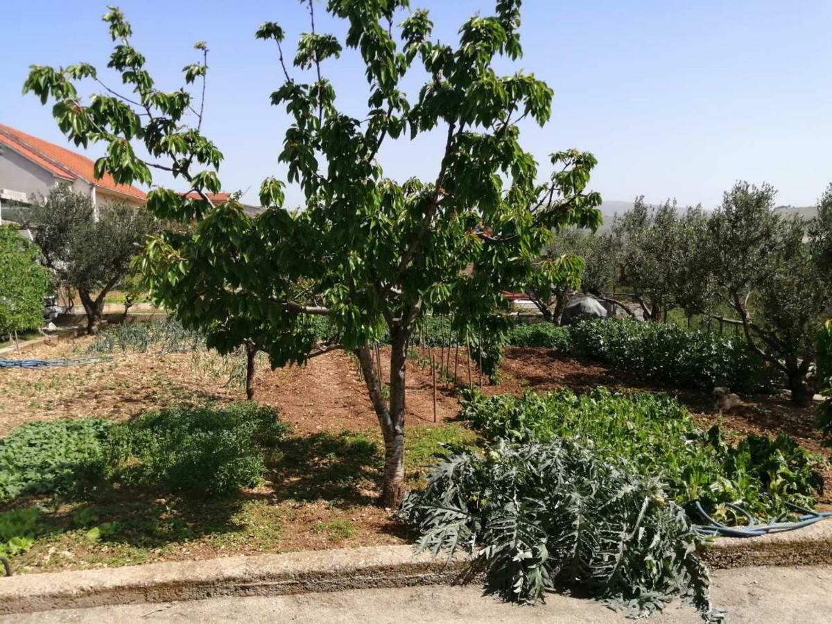Apartments Mira Jadrtovac Dış mekan fotoğraf