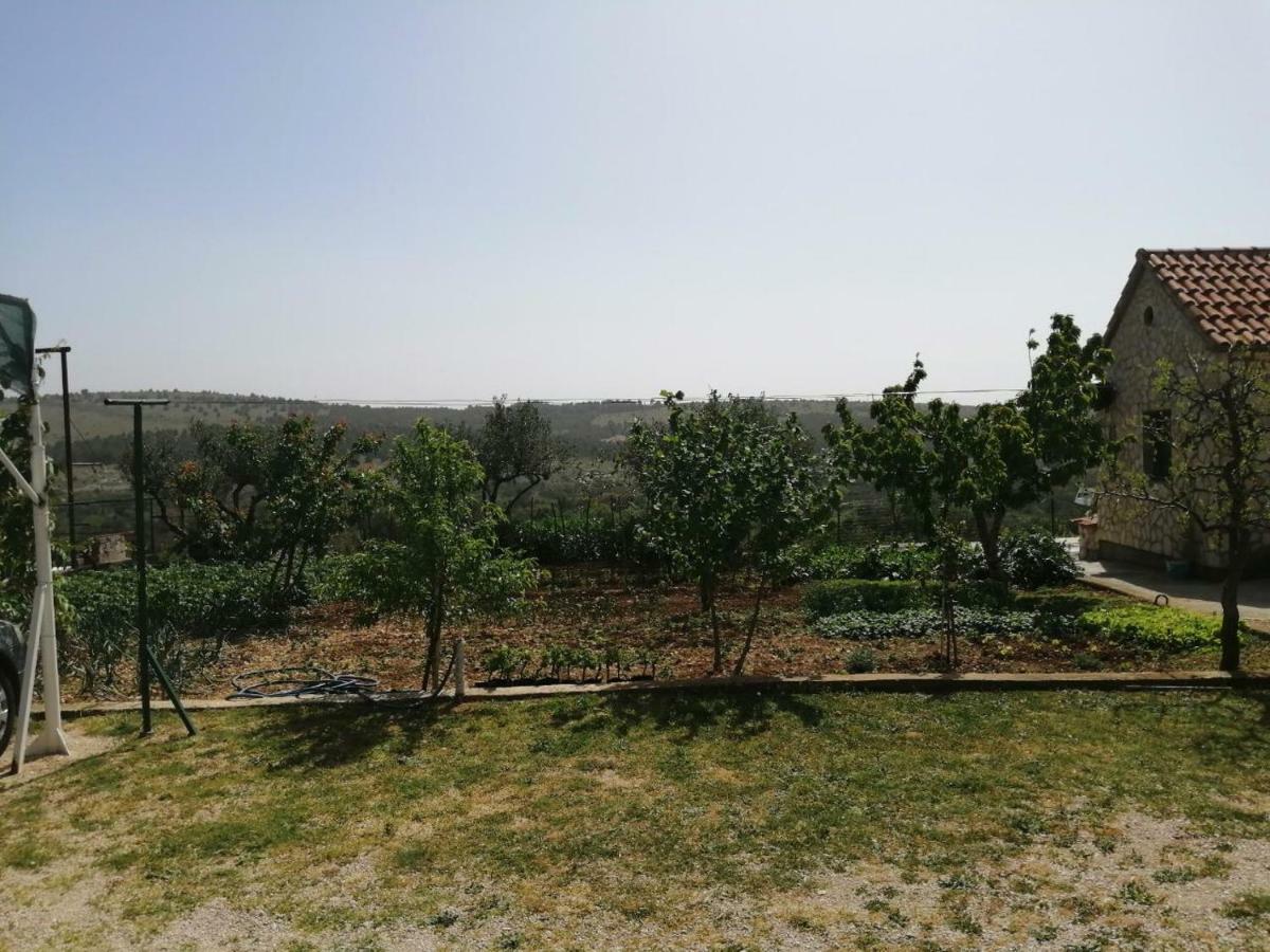 Apartments Mira Jadrtovac Dış mekan fotoğraf